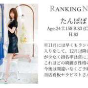 ヒメ日記 2025/05/03 22:18 投稿 たんぽぽ フォーシーズン