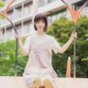 ヒメ日記 2025/05/14 07:08 投稿 たんぽぽ フォーシーズン