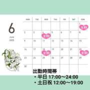 ヒメ日記 2025/05/18 22:19 投稿 たんぽぽ フォーシーズン