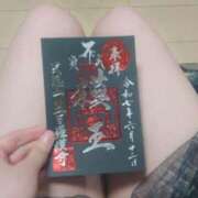 ヒメ日記 2025/06/14 22:08 投稿 たんぽぽ フォーシーズン