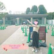 ヒメ日記 2025/06/16 22:18 投稿 たんぽぽ フォーシーズン