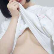 ヒメ日記 2025/06/17 22:08 投稿 たんぽぽ フォーシーズン