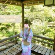 ヒメ日記 2025/06/24 22:28 投稿 たんぽぽ フォーシーズン