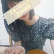 ヒメ日記 2025/06/29 22:08 投稿 たんぽぽ フォーシーズン