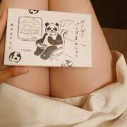 ヒメ日記 2025/07/03 22:32 投稿 たんぽぽ フォーシーズン