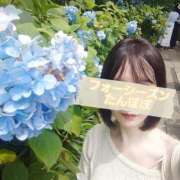 ヒメ日記 2025/07/04 22:18 投稿 たんぽぽ フォーシーズン
