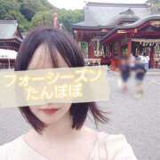 ヒメ日記 2025/07/07 22:08 投稿 たんぽぽ フォーシーズン