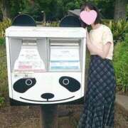 ヒメ日記 2025/07/08 22:18 投稿 たんぽぽ フォーシーズン