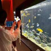 ヒメ日記 2025/07/11 22:18 投稿 たんぽぽ フォーシーズン