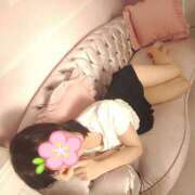 ヒメ日記 2025/07/13 22:18 投稿 たんぽぽ フォーシーズン