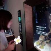 ヒメ日記 2025/07/15 22:08 投稿 たんぽぽ フォーシーズン