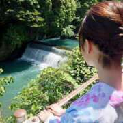 ヒメ日記 2025/07/17 06:18 投稿 たんぽぽ フォーシーズン