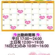 ヒメ日記 2025/07/22 22:08 投稿 たんぽぽ フォーシーズン