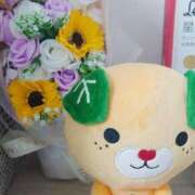 ヒメ日記 2025/08/07 22:08 投稿 たんぽぽ フォーシーズン