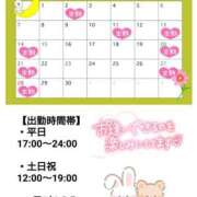 ヒメ日記 2025/08/23 06:08 投稿 たんぽぽ フォーシーズン