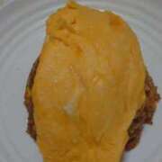 ヒメ日記 2025/08/25 22:08 投稿 たんぽぽ フォーシーズン