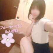 ヒメ日記 2025/09/01 22:28 投稿 たんぽぽ フォーシーズン