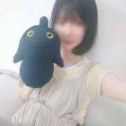 ヒメ日記 2025/09/15 23:03 投稿 たんぽぽ フォーシーズン