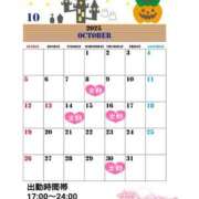 ヒメ日記 2025/09/23 22:18 投稿 たんぽぽ フォーシーズン