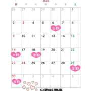 ヒメ日記 2025/10/19 23:18 投稿 たんぽぽ フォーシーズン