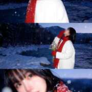 ヒメ日記 2025/11/01 23:58 投稿 たんぽぽ フォーシーズン