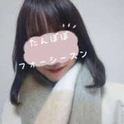 ヒメ日記 2025/11/13 19:48 投稿 たんぽぽ フォーシーズン