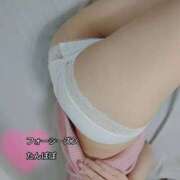 ヒメ日記 2025/11/20 00:58 投稿 たんぽぽ フォーシーズン