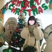 ヒメ日記 2025/11/27 22:18 投稿 たんぽぽ フォーシーズン