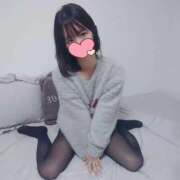 たんぽぽ 1人でぬくぬくしてました☃️ フォーシーズン