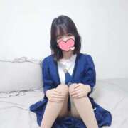 ヒメ日記 2025/12/08 22:18 投稿 たんぽぽ フォーシーズン