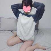 ヒメ日記 2025/12/13 22:32 投稿 たんぽぽ フォーシーズン