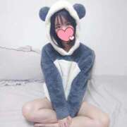 ヒメ日記 2025/12/14 22:32 投稿 たんぽぽ フォーシーズン