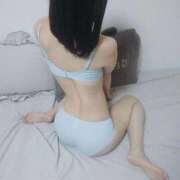 ヒメ日記 2025/12/14 23:03 投稿 たんぽぽ フォーシーズン