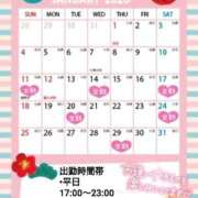 ヒメ日記 2025/12/22 07:08 投稿 たんぽぽ フォーシーズン