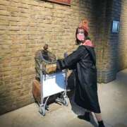 ヒメ日記 2025/12/23 22:18 投稿 たんぽぽ フォーシーズン