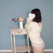 ヒメ日記 2025/12/29 22:38 投稿 たんぽぽ フォーシーズン