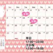 ヒメ日記 2026/01/21 21:18 投稿 たんぽぽ フォーシーズン