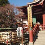 ヒメ日記 2026/02/01 23:48 投稿 たんぽぽ フォーシーズン