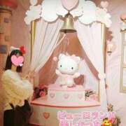 ヒメ日記 2026/02/07 07:18 投稿 たんぽぽ フォーシーズン