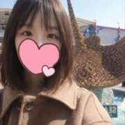 ヒメ日記 2026/02/20 22:08 投稿 たんぽぽ フォーシーズン