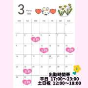 ヒメ日記 2026/02/21 08:28 投稿 たんぽぽ フォーシーズン