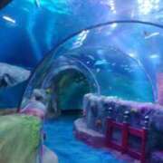 ヒメ日記 2026/02/22 22:08 投稿 たんぽぽ フォーシーズン