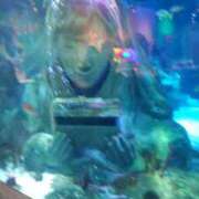 ヒメ日記 2026/02/23 07:18 投稿 たんぽぽ フォーシーズン