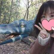 ヒメ日記 2026/02/24 07:08 投稿 たんぽぽ フォーシーズン