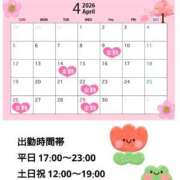 ヒメ日記 2026/03/23 07:58 投稿 たんぽぽ フォーシーズン