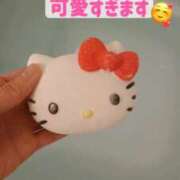 ヒメ日記 2026/03/24 07:08 投稿 たんぽぽ フォーシーズン