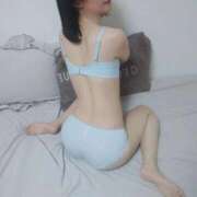 ヒメ日記 2026/03/26 22:08 投稿 たんぽぽ フォーシーズン