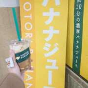 ヒメ日記 2026/03/27 22:08 投稿 たんぽぽ フォーシーズン