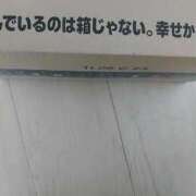 ヒメ日記 2026/03/28 07:19 投稿 たんぽぽ フォーシーズン