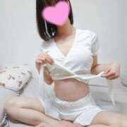 ヒメ日記 2026/04/10 07:25 投稿 たんぽぽ フォーシーズン